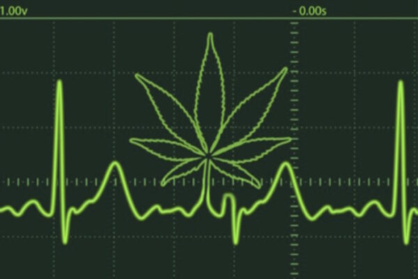 MARIHUANA Y CORAZÓN: QUÉ DICE LA CIENCIA